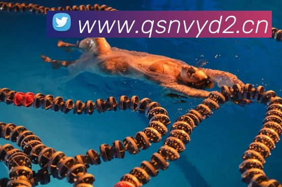 爱游戏app体育官方网站APP 封面图